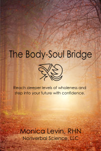 The Body-Soul Bridge by Monica Levin